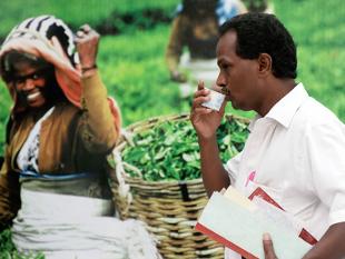 Tea exports to Bangladesh fell to 0.46 million kg in the six months to September 2014 from 5.02 million kg in the year-ago period, data showed. 