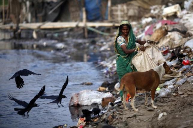 A woman collects garbages from a dump yard near a tannery at Hazaribagh along the polluted Buriganga river in Dhaka June 5, 2014. REUTERS/Andrew Biraj/Files