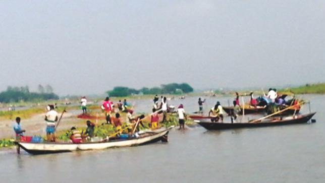 hilsha_fishing_in_padma