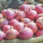 onion_29