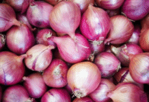 পেঁয়াজের দাম কমাতে আমদানির সুপারিশ ট্যারিফ কমিশনের