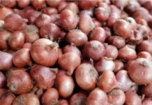 পেঁয়াজ আমদানির হুঁশিয়ারি উপদেষ্টার