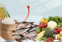 Rice and fish drive food inflation in October, while vegetables help ease price pressures: Report