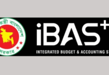 Govt to link public officials’ database with e-passport system to stop concealing professional info