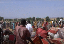 Arab Complicity in the Bloodlands: How Gaza and Sudan Became Linked Theatres of Genocide and Geopolitical Plunder