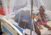 Two die, 423 hospitalised with dengue fever in 24 hours