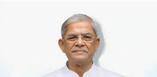 মির্জা ফখরুলই বিএনপির প্রার্থী, তবে আগাম ঘোষণা করবে না দল