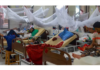 Two die, 1,056 hospitalised with dengue fever in a day