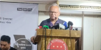 ‘Abrar Fahad’ a unique, bright symbol of the country’s nationalist forces: Rizvi