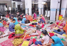 Seven more die of dengue, 1,373 hospitalised